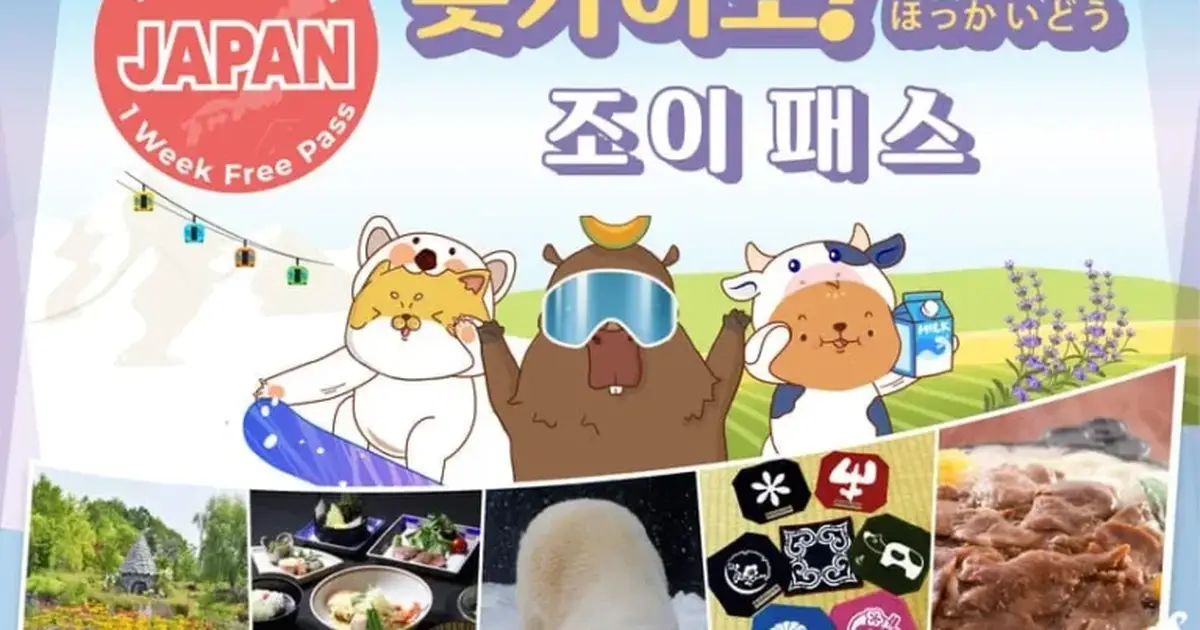 홋카이도 조이패스